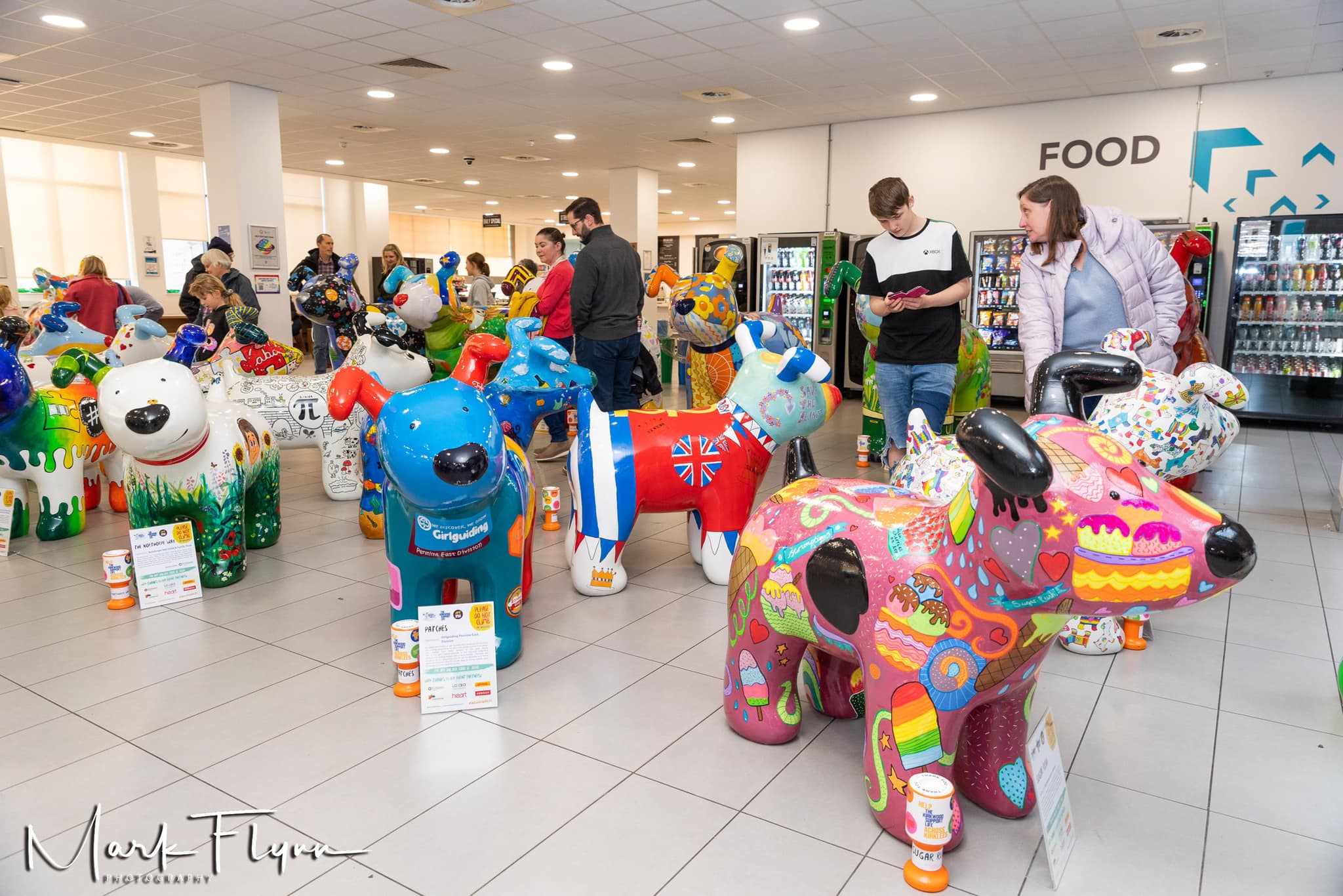 Members of the public looking around the Snowdogs display at Kirklees College