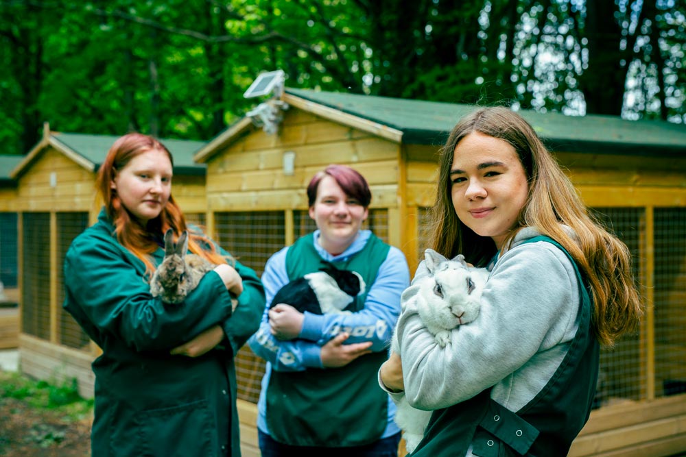 Animal Care Students Handling Rabbits