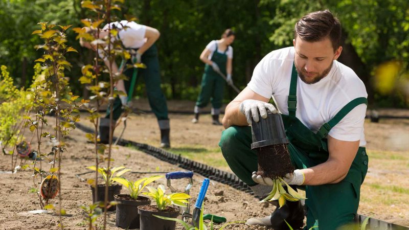 A man digging in the garden