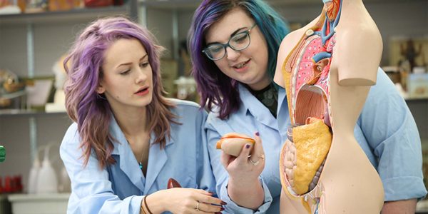 Two female students looking at the insides of a plastic model of a human biology